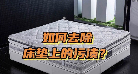 1679912275133647.jpg IMG_3282.JPG